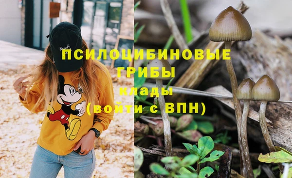 каннабис Армянск