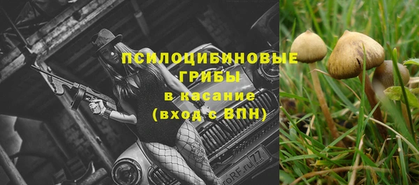 меф Арсеньев