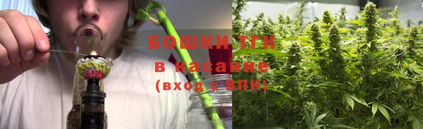 меф Арсеньев